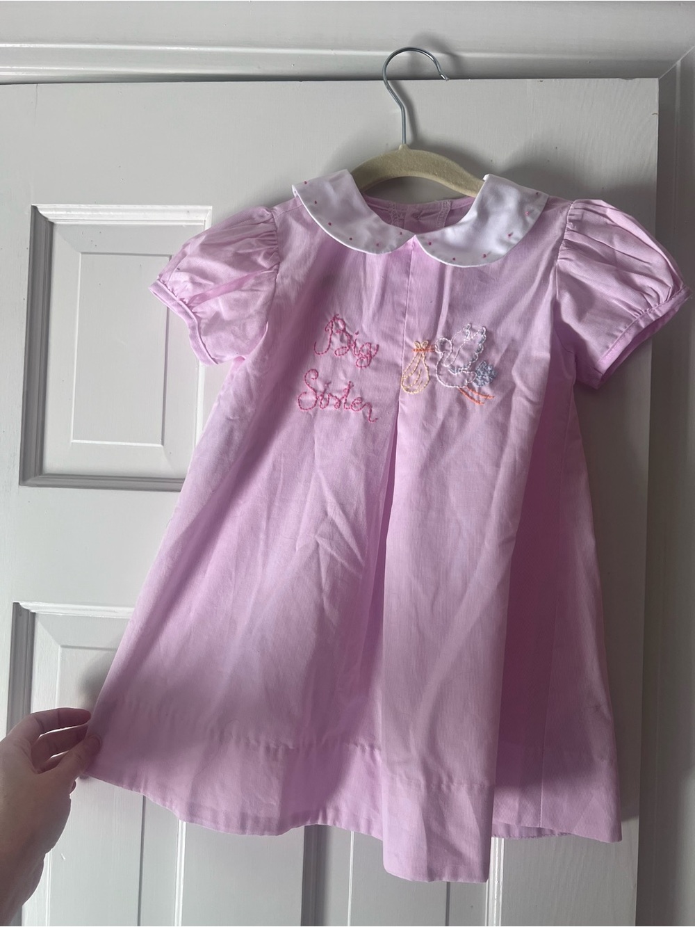 Pink Big Sister Embroidered Peter Pan Dress